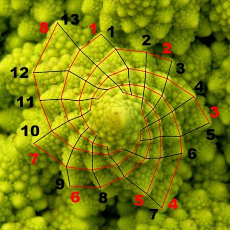 The Fibonacci System Betting Strategy